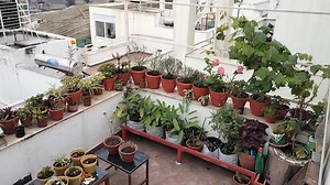 1.9K views · 108 reactions | ८:२३ सम्म सुर्योदयको पर्खाई !! तर अजै सुर्योदय हुने छाँट छैन।जाडो साच्चिकै बढेछ । स्कुल कलेज पढ्दाको जस्तो मौसम पो छ आज। मंसिर १६ मा यस्तो छ । पुष कस्तो हुने होला ? | Maheswari Bisht | Facebook