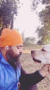 Mera Beta ❤️ #Simba #labrador #doglover | Sardar Lucky Singh