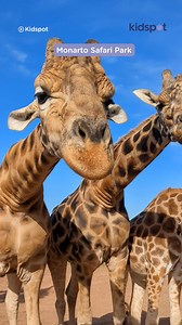 "A family getaway to SA made me realise why we should holiday in Australia."  >>> bit.ly/45weqOx | Kidspot | Facebook