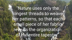 Top 20 Max Planck Quotes || The German Theoretical Physicist. @DailyQuotesHD. #MaxPlanck #QuantumTheory #Physics #TheoreticalPhysics #QuantumMechanics #Scientist #PhysicsHistory #NobelPrize #Quantum #QuantumPhysics #GermanPhysicist #ScienceHistory #PhysicsGenius #QuantumRevolution #PlancksConstant #WaveParticleDuality #QuantumEra #QuantumFoundations #PhysicsPioneer #EinsteinAndPlanck #MaxPlanckQuotes. | Positive Quotes | Facebook