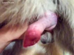 Gary Fucked/Knotted me real hard