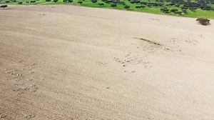 Vue aérienne d'un troupeau d'oiseaux sauvages : vidéo de stock (100 % libre de droit) 1104108807 | Shutterstock