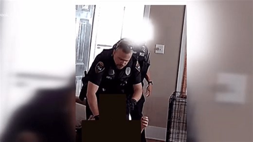 Penbrook Police Officer accused of excessive use of force