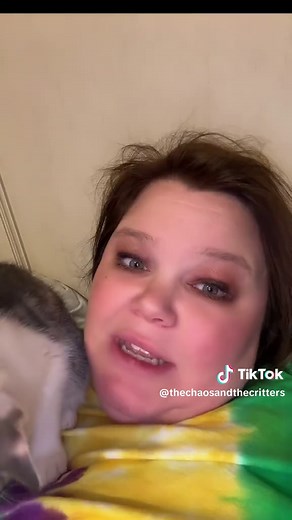 Diluted Calico Cats: A Rare Coat Pattern Explained