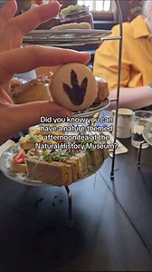 34K views · 125 reactions | Settle the debate: jam or cream first? 類 book your afternoon tea experience on our website 殺 #AfternoonTea #TeaExperience #NaturalHistoryMuseum #NaturalHistory #LondonMuseums #LondonExperiences | Natural History Museum, London | Facebook