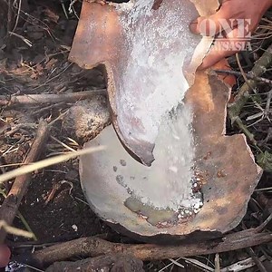 HOW TO CUT TREE USING FISH OIL! | Women's world | Facebook