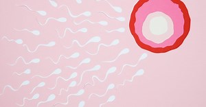 De bevruchting (voor 12 - 18 jaar) uitgelegd op video- Seksuelevorming.nl