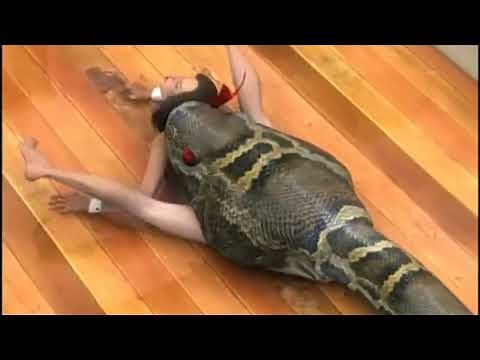 Snake Eating a Girl 2 [Vore]