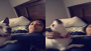 When Your Dog Turns Into a Bedtime Opera Singer