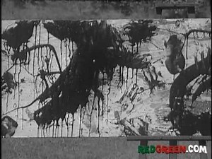 The Red Green Show Ep 239 "The Missile Crisis" (2002 Season)