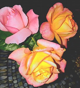 Pink and Yellow Rose Bouquet Photo - Etsy UK