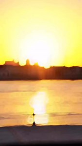 Where every sunset is a masterpiece... #TradersHotel #VisitAbuDhabi #InAbuDhabi #TradersHotelAbuDhabi | Traders Hotel, Qaryat Al Beri, Abu Dhabi | Facebook