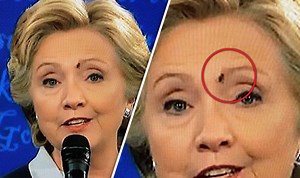 Hillary stays calm when FLY lands on her face during debate