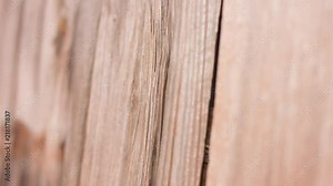 Wood texture traditional country tree planks