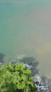 729 reactions · 125 shares | Experience the sea and beaches of Tobago! | Tobago | Facebook