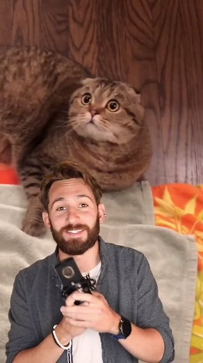 Jordan Freaking Wilson on TikTok