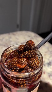 I finally found pine cone jam! This took me on an adventure I really wasn’t prepared for. Pinecone jam is made from young pine cones in a sugary syrup. Many use it for its anti-inflammatory nutrients.The syrup turns almost a red color and the best part is that not only are the pinecones edible- but they are delicious! I was not expecting for the pinecones to have a mushy, almost berry like texture 🤯 The flavor of the syrup just taste really sweet, but the pinecones taste like Christmas with an 