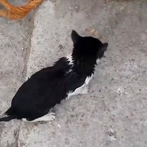 13K views · 322 reactions |  | Amber Personalized Accessories | Facebook