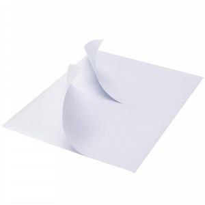 [Hot Item] Self Adhesive White Parcel Labels