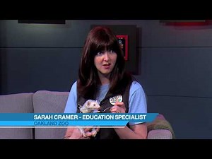 CM 11380 Oakland Zoo