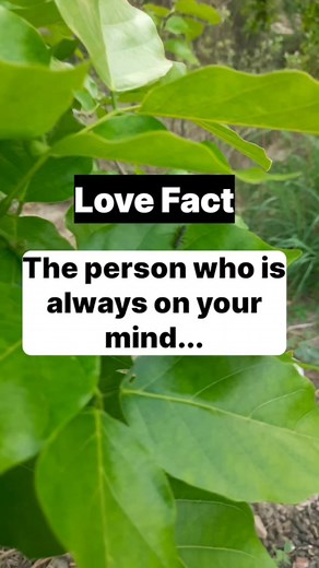 188K views · 887 reactions | Love fact| the person who is always on your mind... #theloversguide #psychologyfacts #relationships #love #crush #facts #factsdaily #men #women #girls #girlfriend #boyfriend #viral #viralreels #trending #relationshipgoals #romance #kinship #marriage #breakup #reels #meta #friendship #affection #couple #eros #followers #reelsfypシ #psychology | The lovers' guide | Facebook