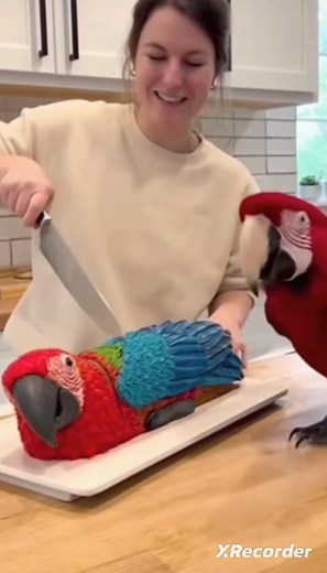 🌝 #viralpost2025シ #hilightseveryonefollowers #petcake #friendlyᥫᩣシ#petlovers #madumadu | Sithi Upeksha