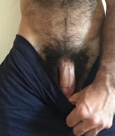 Pubes Popperbate Trainer - ThisVid.com