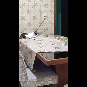 3.5K views · 54 reactions | Osasco-SP, 12 de novembro de 2024 Aí,...