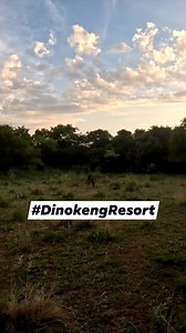 1.5K views · 36 reactions | Some new blood... this beautiful Black...