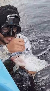 Pesca de tilapia grande arpón | Pesca y Aventura