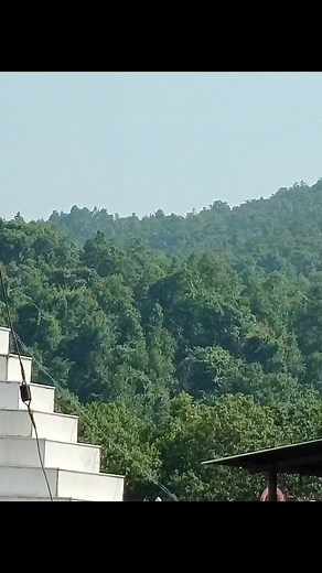 43K views · 397 reactions | Comedy time toons on Reels | Facebook