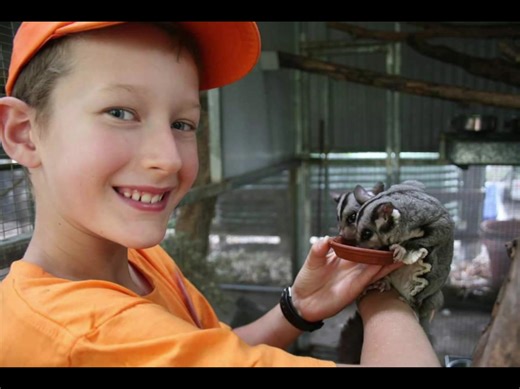 Junior Keeper Besties Birthday Bundle $775 The ultimate, all inclusive, behind the scenes, Wildlife encounter, birthday package. The most amazing day for the birthday child, plus four of their absolute besties in this incredible party package. The Birthday Bundle includes, *Four hours (11:00am - 3:00pm) of up close and personal encounters with Dingoes, Possums, Gliders, Parrots, Snakes, Lizards, Kangaroos, and so much more *Kids Meal and Juice Box *Bulla Vanilla Icecream Cup *Animal food for the