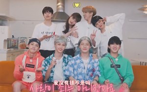 【tik tok】「Stray Kids」stay 整活plus美帝plus李糯的猫plus世上最忙内的忙内