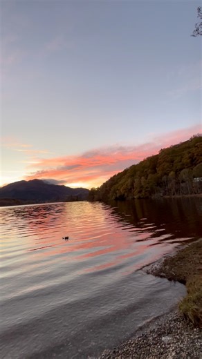 An October camping trip at Loch Achray in the Trossachs, in the shadow of Ben Venue. 📍Loch Lomond and the Trossachs National Park Loch Lomond & The Trossachs National Park #lochlomondandtrossachsnationalpark #visitscotland #trossachs #benvenue #camping #scotland | Scotland Unwrapped