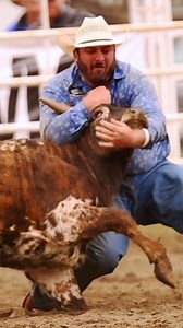 176K views · 21K reactions | It’s called “steer wrestling” for a...