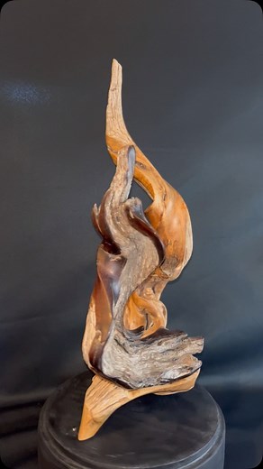 I won! I can’t believe it. I entered the Charlotte Wood Carver’s Showcase not expecting to do anything more than to have a great experience. With over 700 pieces on display, and 114 carvers from all over the East Coast, I had no expectations of winning. I submitted a piece for the intermediate carver in the Religious Symbolism category and won first place. I also submitted a piece for the intermediate Found Wood category, and it won first place. I am blown away and very honored. I have to admit 