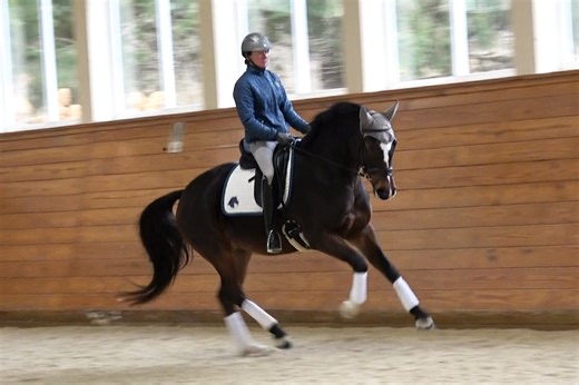 43 reactions · 3 comments | #contango #isfsales Available to be seen...