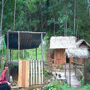 Expand the farm, raise more chickens, make accommodation for the chicks. | Building New Life