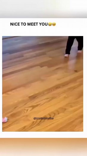 🤣🤣♥️♥️ #status #page #funny #memes #funnymemes #follow #trending #viralvideoシ #yess #yes #couple #funny #memes #YESVIDEO #lovelycouple #trending #reels #shorts #ticktok #status #like #share #follow #politics #suspense #pakdarama #love #sad #pakistanidarama #funny #followsharecommentlike | Funny Memes