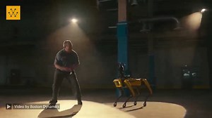 Spot may have moves, but in the real world, the robot gets down and dirty, helping industrial teams keep their sites efficient and safe. Video Credit: Boston Dynamics #robotics #engineering #technology #robots #roboticengineering #research #boston #bostondynamics ----------------------- Wanna get your company on Wevolver too? Learn how: http://wevlv.co/get-your-company-on-wevolver | Wevolver.com