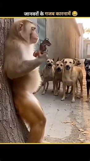 funny Animals video 😂 #funny #funnyanimals #shorts