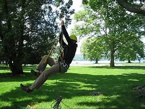 Tree Climbing: Ascending with Frog Type Systems