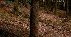 Video by The Marc Knight on Pexels