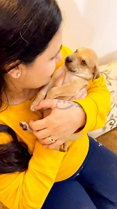 29K views · 2.3K reactions | Pyaar se mana leta hai #puppy #puppies #puppylove #puppylovers #puppylife #dogmother #dogmom #dog #dogs #dogfood #doglife #doglover #doglovers #supportus #blessings #love #reels #viral #instareels #insta #instagram #fb #fbreels #fbreelsvideo #fbreelsfypシ゚viral | Bezubaanjaan1517 | Facebook