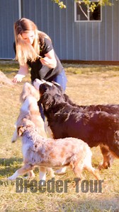 Petland is dedicated to providing our community the best puppies...