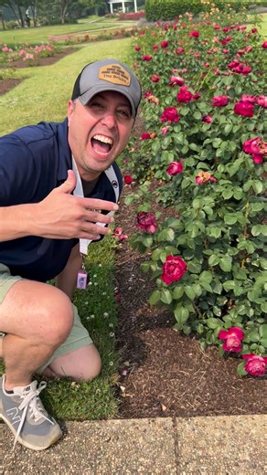17 reactions | This is what happens when Matt tries to stop and smell the roses  | B103 | Facebook