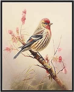 Common Redpoll Art Print Poster, Bird Wall Art Vintage Print, Animal Brid Poster Decor (Common Redpoll, 11x14 inches (Unframed))