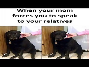 7 Minutes of Funny POV memes #30🤣