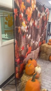 3.9K views · 22 reactions | Humane Society of Tulsa on Reels | Facebook