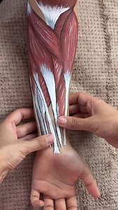 2.2K reactions · 460 shares | En tant que praticienne ayant vu de...